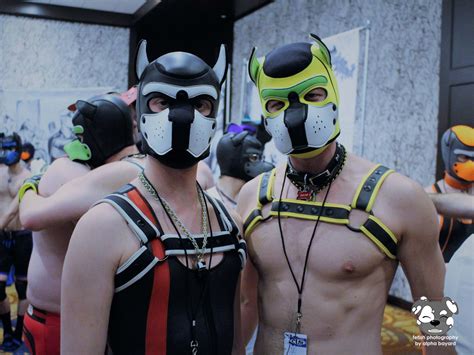 gay puppy porn|Projectystudios .